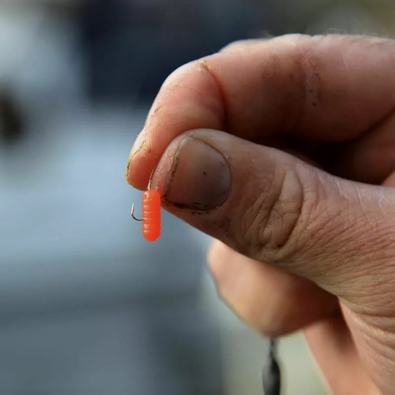 Cresta Spaghetti Worms 6 Cresta Spaghetti Worms - Afbeelding 4